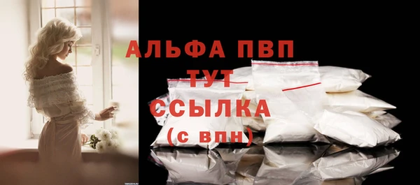 гашик Новозыбков