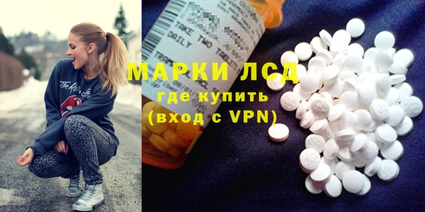PSILOCYBIN Аркадак