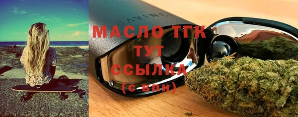 гашик Новозыбков