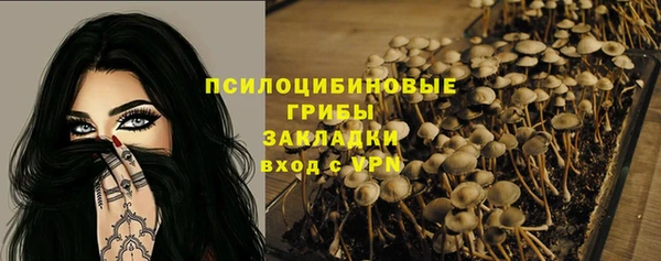 PSILOCYBIN Аркадак