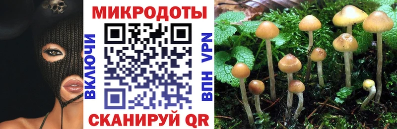 площадка какой сайт  Сельцо  Галлюциногенные грибы GOLDEN TEACHER 